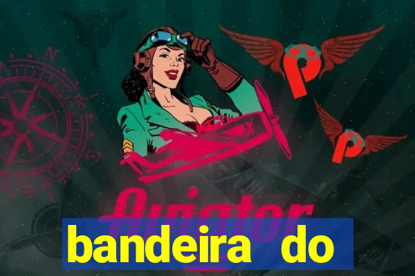 bandeira do flamengo para copiar